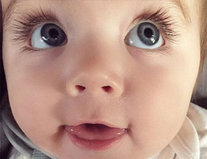 ddos攻击在哪能买到