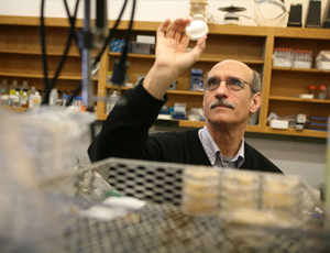 ddos攻击在哪能买到