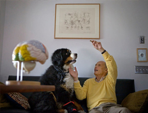 网页在线DDOS压力测试