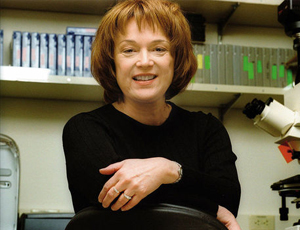 ddos攻击在哪能买到