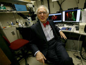 cc攻击免费网页版